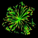 green optical