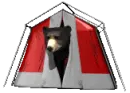 bear in tent