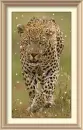 panther