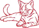 cat