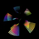 optical picture