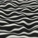 black and white optical picture
