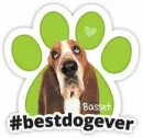 Best Dog Ever