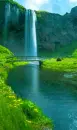 rapids
