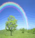 rainbow