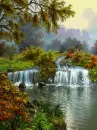rapids