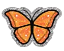 orange butterfly