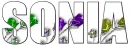 Sonia - roses