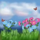 Summer ~ background ~ fg