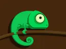 lizard