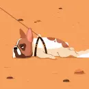 resting dog