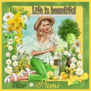 Life is Beautiful - Pami