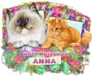 Anna Happy Birthday