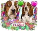 Jessi Happy Birthday Flash 