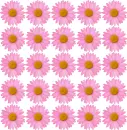 background with daisies