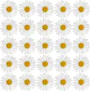 background with daisies
