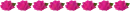 line with roses