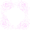 frame with roses