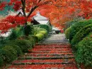 Autumn ~ background ~ fg