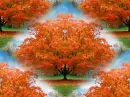 Autumn ~ background ~  fg
