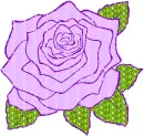 rose