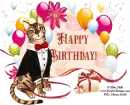 Happy Birthday!