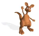 kangaroo waving