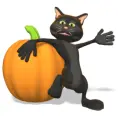 black cat waving