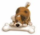 dog with bone