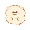 funny cat