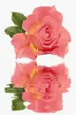 rosas
