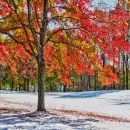Season change ~ background