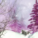 Winter ~ background