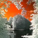 Winter ~ background