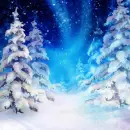 Winter ~ background