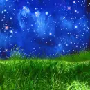 Winter ~ background