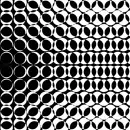 optical picture