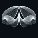 optical picture