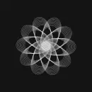 optical picture
