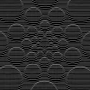 optical picture