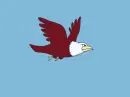 eagle