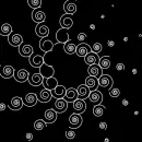 optical picture