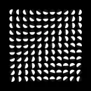optical picture