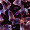 color animated