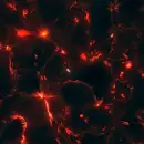 color animated