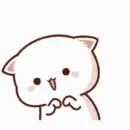 white cat
