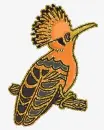 kookaburra