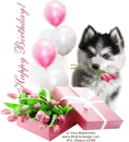 Happy Birthday!