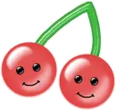fruit