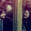 Harry and Ginny